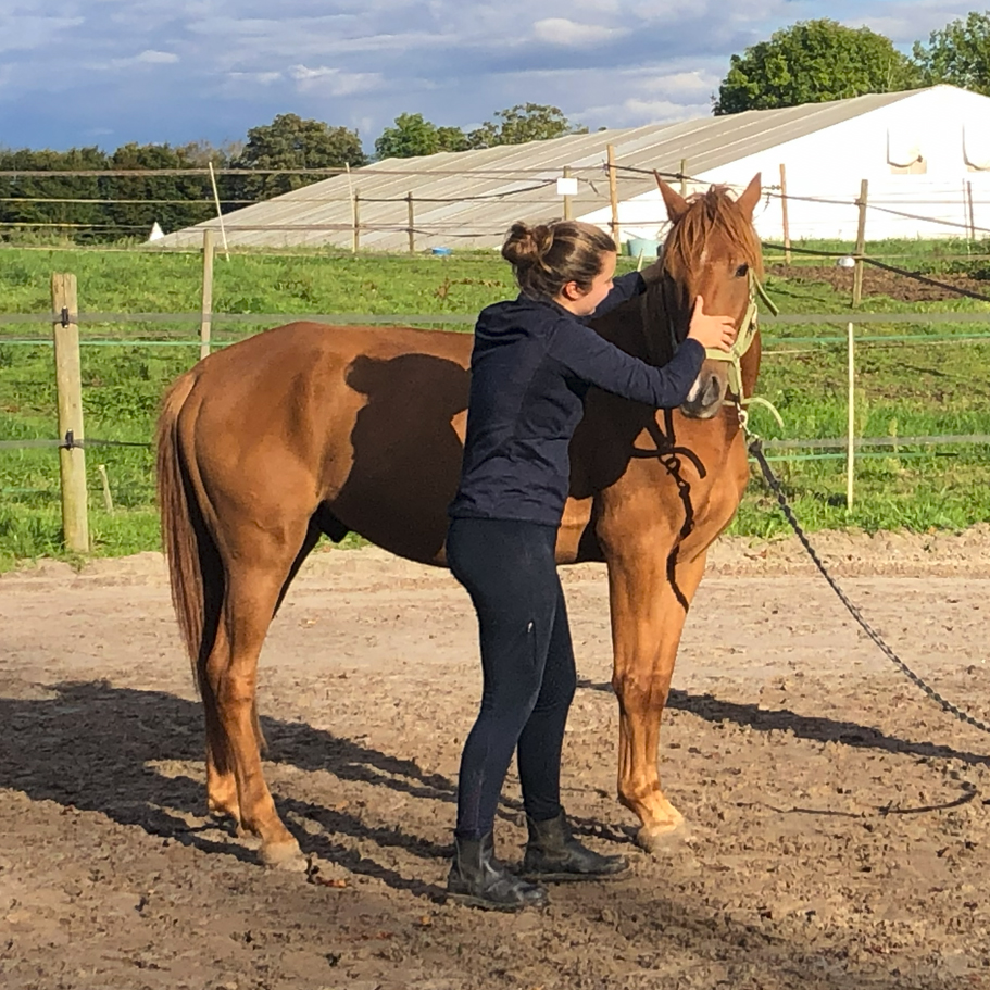 Photo de Mathilde Le Mitouard et d'un cheval