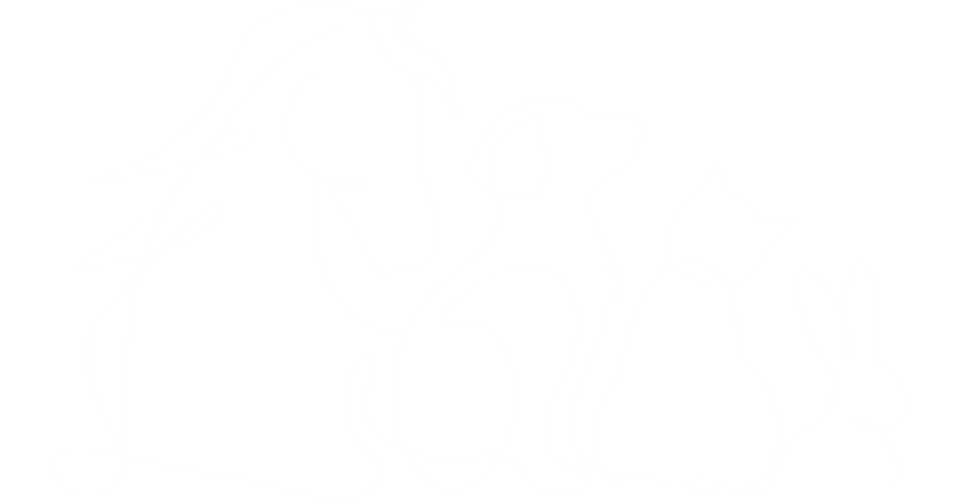 Silhouette d'animaux