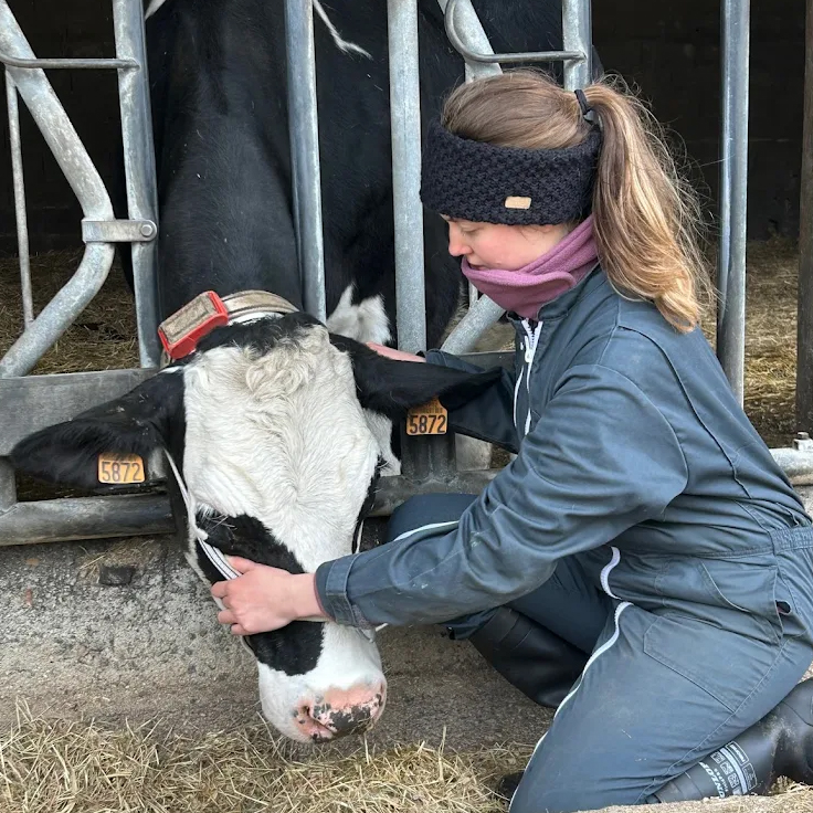 Photo de Mathilde Le Mitouard et d'une vache