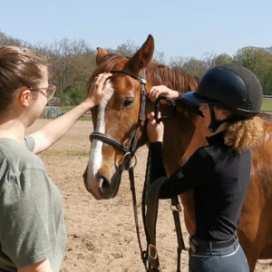 Photo de Mathilde Le Mitouard et d'un couple cavalier-cheval