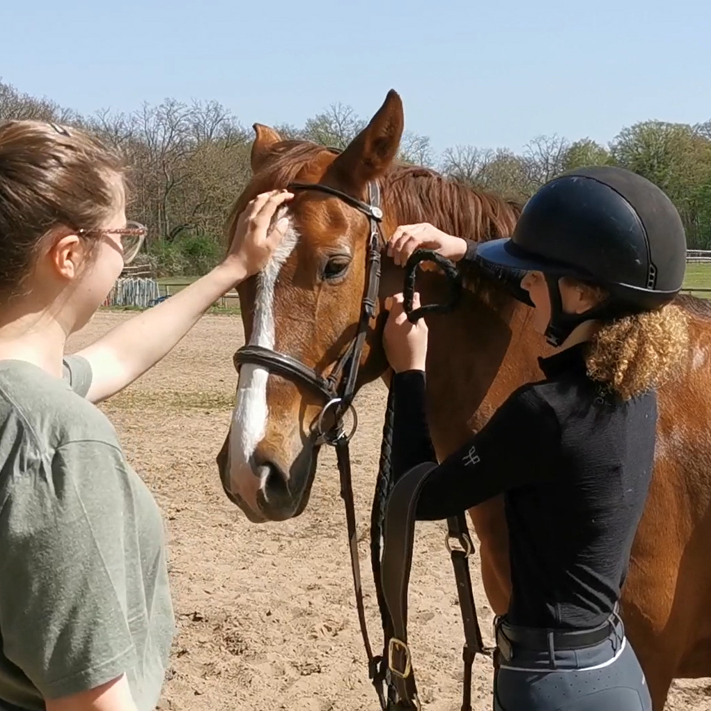 Photo de Mathilde Le Mitouard et d'un couple cavalier-cheval